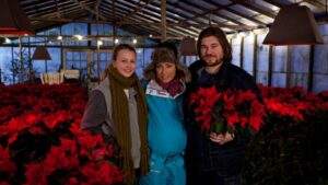 Tre personer står i et drivhus omgivet af julestjerner og forbereder sig til Julekalender tv 2021.